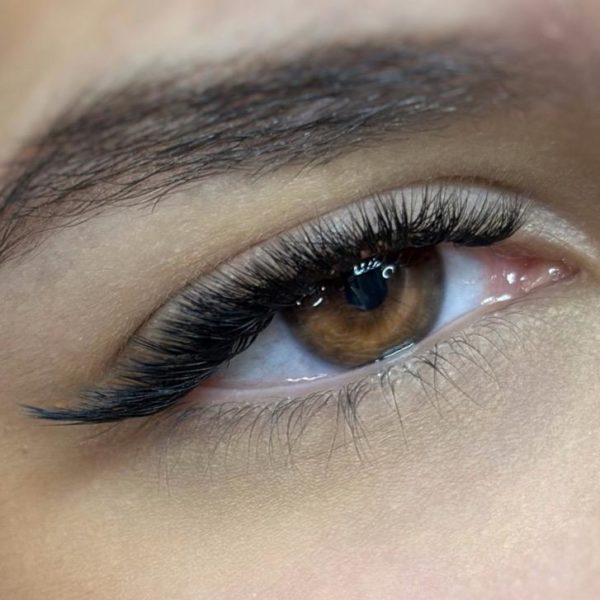 Formation pack expertise des cils – Image 5